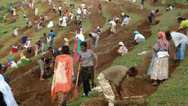 ማእቶታዊ ንጥፈት ኣብ ኤርትራ