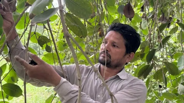 நாவல் பழங்கள் பயிரிட்டு பணக்காரர்கள் ஆன கிராம மக்கள்