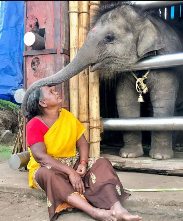 ஆஸ்கர் விருது