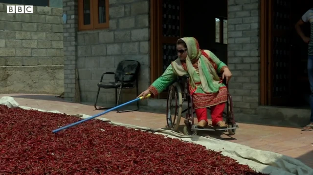 બીબીસી ગુજરાતી 