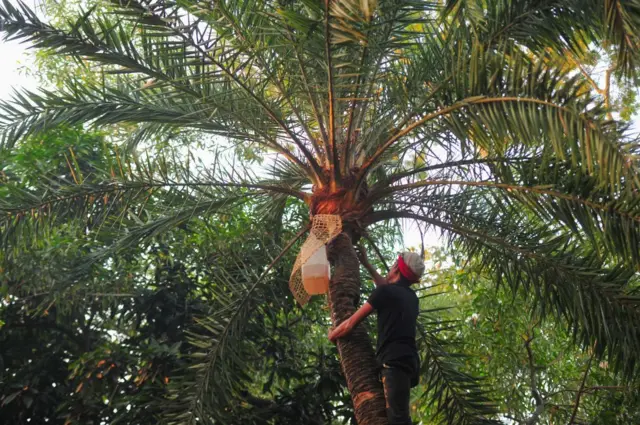 Ogizga va eshakka qarang