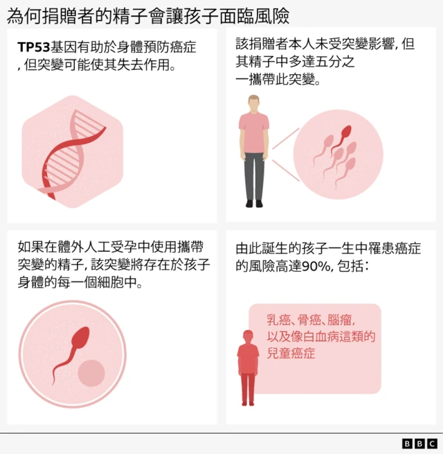 BBC制图解释为何捐赠者的精子会让孩子面临风险