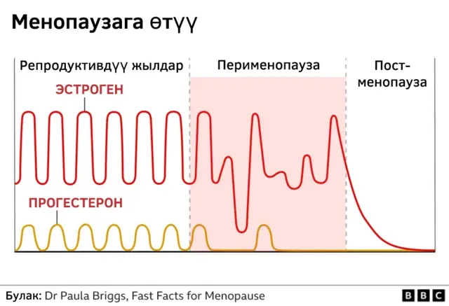 Графика