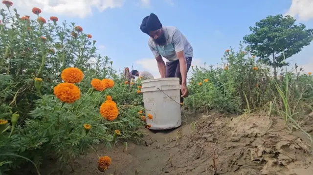 ਸੁਖਦੀਪ ਸਿੰਘ