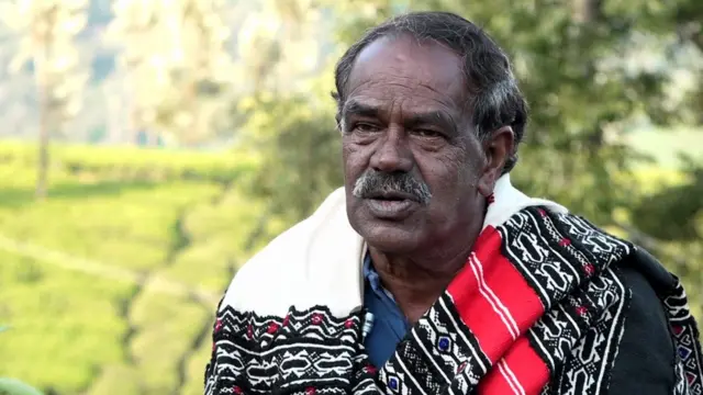 நீலகிரி, தோடர், எருமை