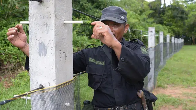 Seorang anggota JRSCA (Javan Rhino Study and Conservation Area) menunjukkan bagaimana pagar listrik akan dipasang untuk melindungi badak dan hewan lain yang keluar dari hutan di Taman Nasional Ujung Kulon.