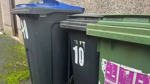 Tres contenedores de basura con ruedas, dos negros y uno verde, en un callejón trasero.
