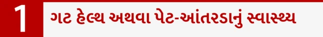 ગટ હેલ્થ અથવા પેટ-આંતરડાનું સ્વાસ્થ્ય