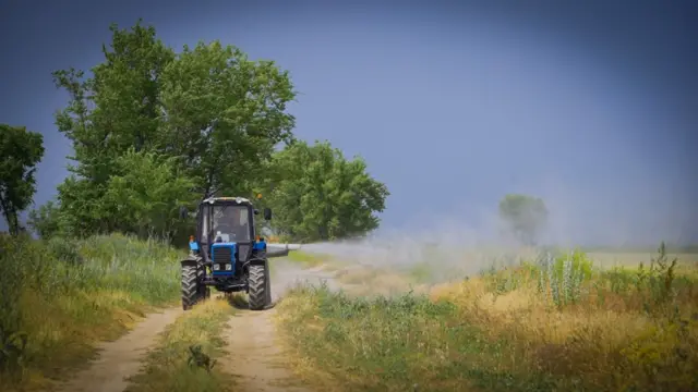 Чүй облусунда мурда аныкталбаган жерден зыянкечтер чыгууда
