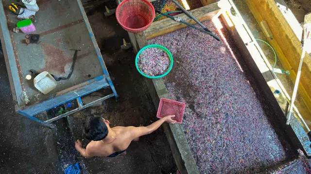 Rumah Plastik Mandiri