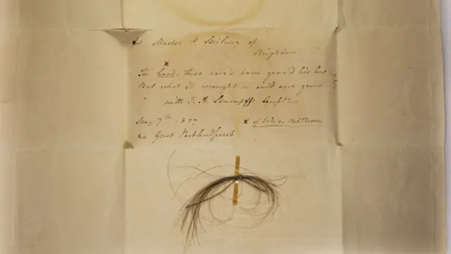 Mechas de cabelo de Beethoven