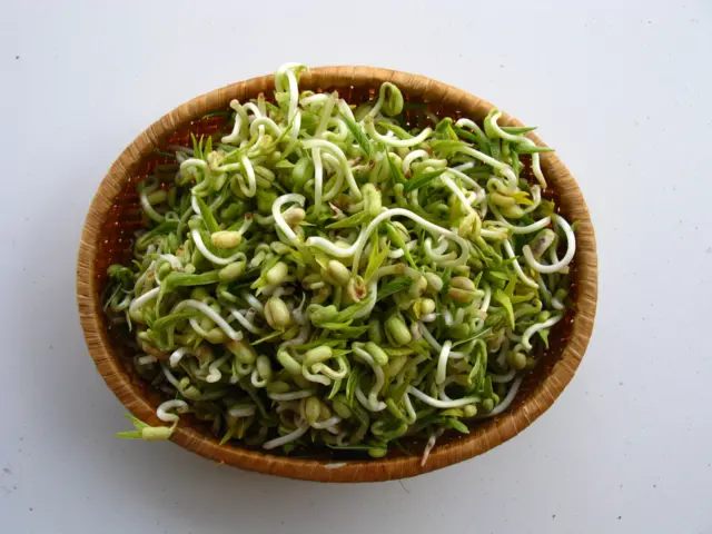 మొలకలు ఏవైనా మరీ తడిలో ఎక్కువసేపు ఉంచకూడదు