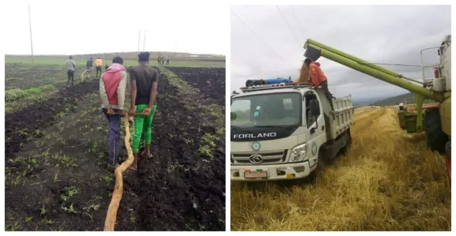 Namaan yeroo qotaniifi maashinaan yoo dhahan