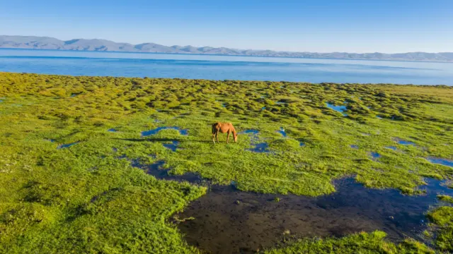 Соң-Көл. Камбар атанын тукумунда эмне арман?...