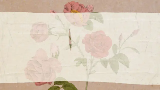 ኣብ ብዙሓት ባህልታት፡ ኣብ ኣንሶላ ዝፈሰሰ ደም ምልክት ምኻድ ድንግልና ይርአ፡ ሓደ መጽናዕቲ ግን ካብ 10 ደቂ ኣንስትዮ ኣብተን ሽዱሽተ ደም ዘይክፈሰን ከምዝኽእል የረጋግጽ 