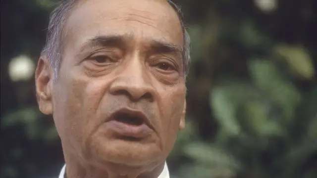 పీవీ నరసింహరావు