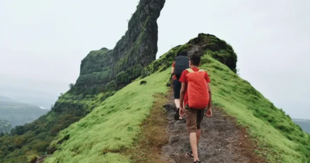 ટ્રેકિંગ