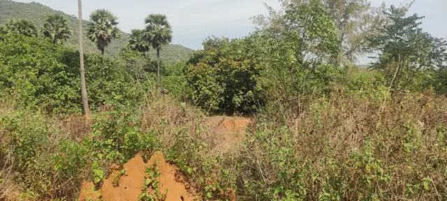 రైల్వేకు కేటాయించిన భూమి