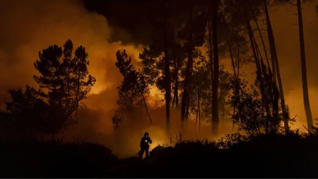 కార్చిచ్చు