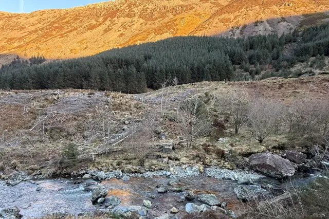 Un río poco profundo en el campo. Detrás hay una ribera árida, y detrás hay un frondoso bosque verde. Al fondo se ven montañas.