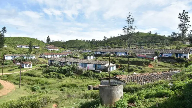 மாஞ்சோலை எஸ்டேட் - இன்றைய நிலை