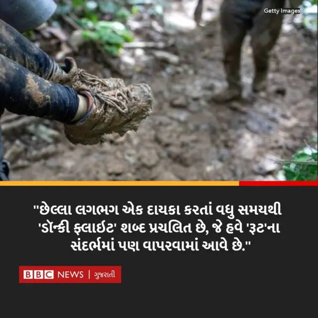 ડૉન્કી રૂટ