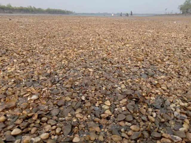 ပေ ၂၀၀ လောက်ရှိတဲ့နေရာမှာ အုံလိုက်ကျင်းလိုက်ကိုသေဆုံးနေတာတွေ့ရတယ်။