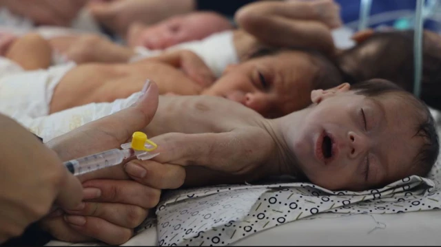 أطفال رُضّع في غزة