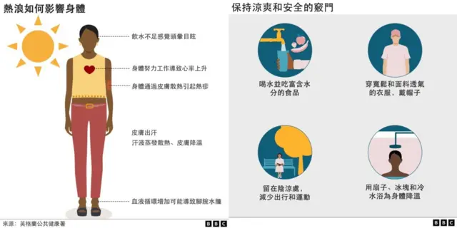 熱浪如何影響身體圖表