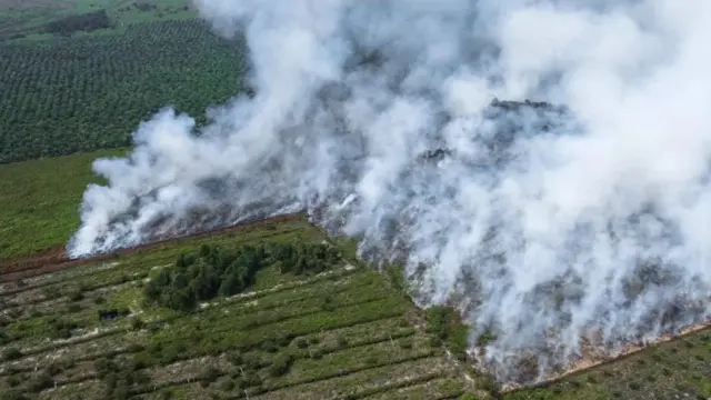 Indonesia yashyizeho uburyo bwo gucunga imiriro no kubuza ubuhinzi bushya bw'ingazi