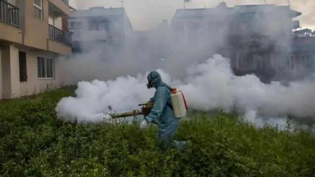 डेङ्गी सार्ने लामखुट्टे मार्ने अभियान