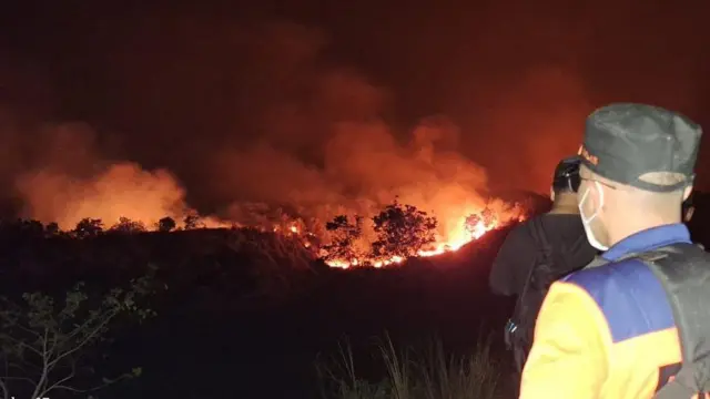 Api membakar hutan dan lahan (karhutla) kawasan Gunung Bromo