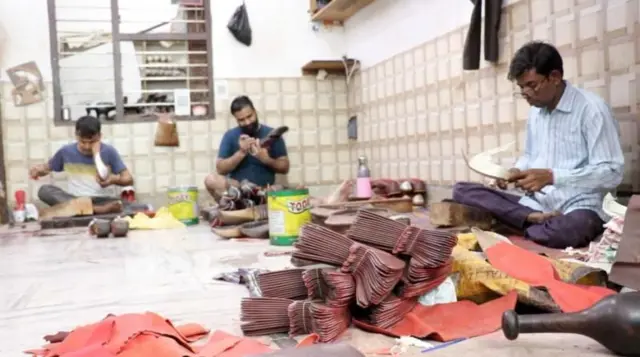 બીબીસ ગુજરાતી, ગુજરાત, પંજાબ, નીટ, મોચીકામ, શિક્ષણ, યુવા