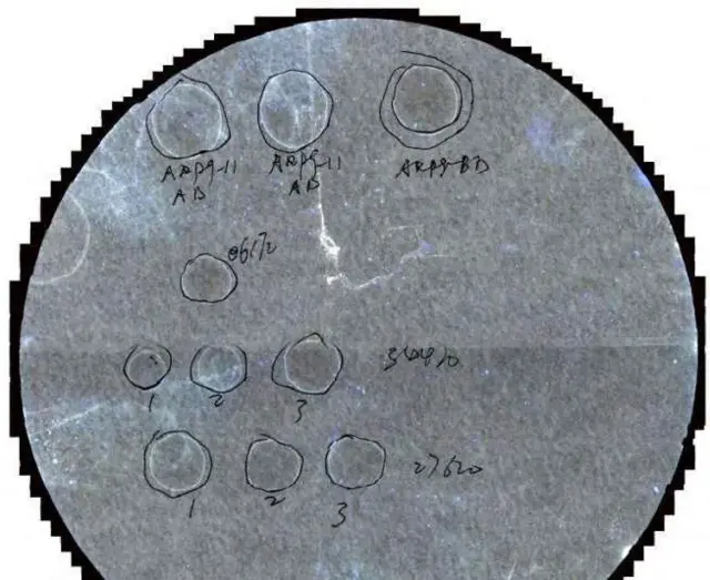 एग्रोटेररिज़म