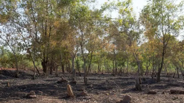 గూగుల్ మ్యాప్స్, కర్ణాటక, పనాజీ, అయోధ్య, బరేలీ, గూగుల్