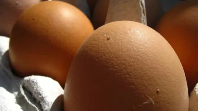 कुखुराका अण्डा