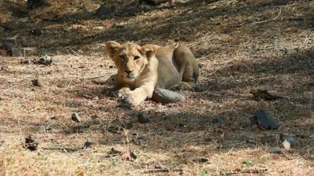 ప్రతీకాత్మక చిత్రం