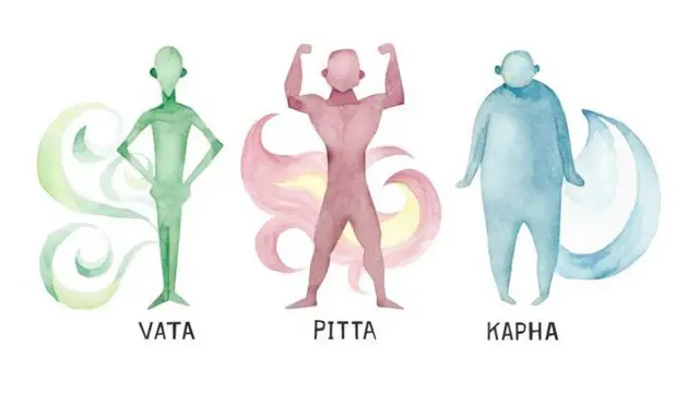 শরীরের ভারসাম্য রক্ষা করে বাতাস, আগুন ও পানি আর এই তিনের সমন্বয়ে হজম সম্পন্ন হয়।