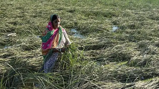 ਪੰਜਾਬ ਹੜ੍ਹ