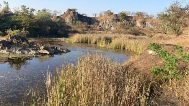 బ్యాక్టీరియా, సైన్స్