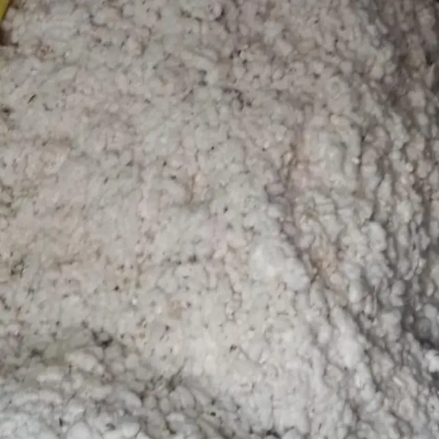 बुलडाणा जिल्ह्यातही अनेक शेतकऱ्यांनी कापूस साठवून ठेवला आहे.