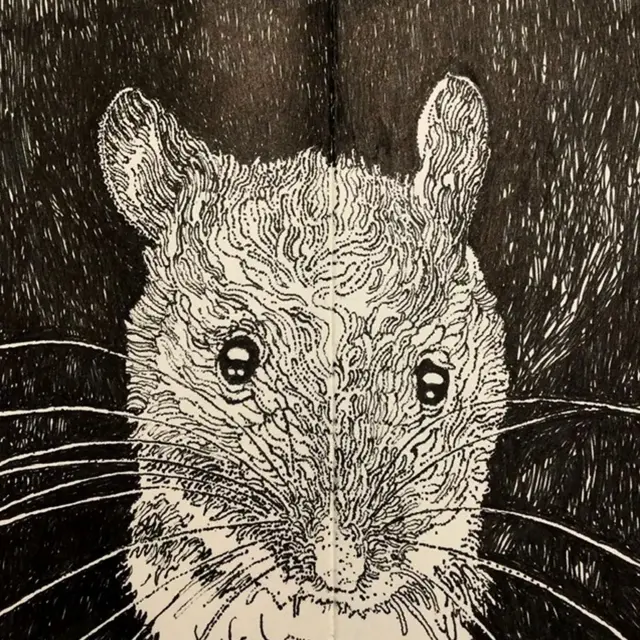 Artist John Hewitt's daily drawings of life in the Pennines, UK, have gained a following on social media