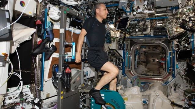 உடற்பயிற்சி