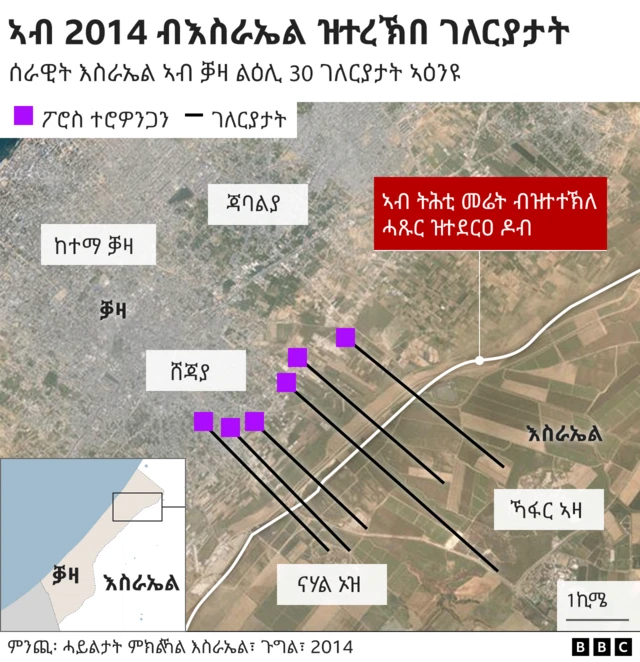 ኣብ 2014 ብእስራኤል ዝተረኽበ ገለርያታት