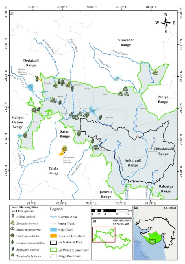ਗਿਰ ਜੰਗਲ ਦਾ ਨਕਸ਼ਾ, ਜਿੱਥੇ ਕੈਮਰੇ ਲਗਾਏ ਗਏ ਹਨ