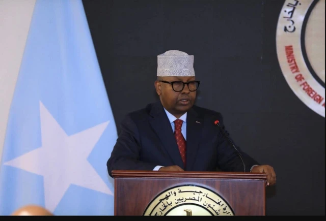 Wasiirka arrimaha dibadda ee Soomaaliya axmed Macalin Fiqi