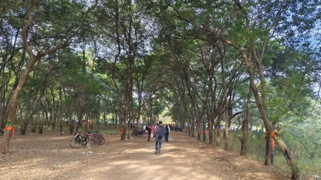 प्रातिनिधिक छायाचित्र