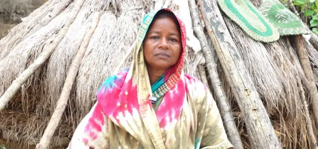 साड़ी पहने हुए एक महिला