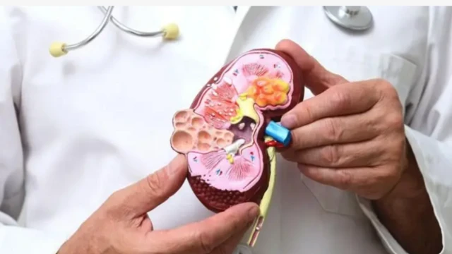 சிறுநீரக செயலிழப்பின் அறிகுறிகள்