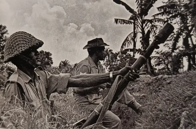 बीएसएफ 1971